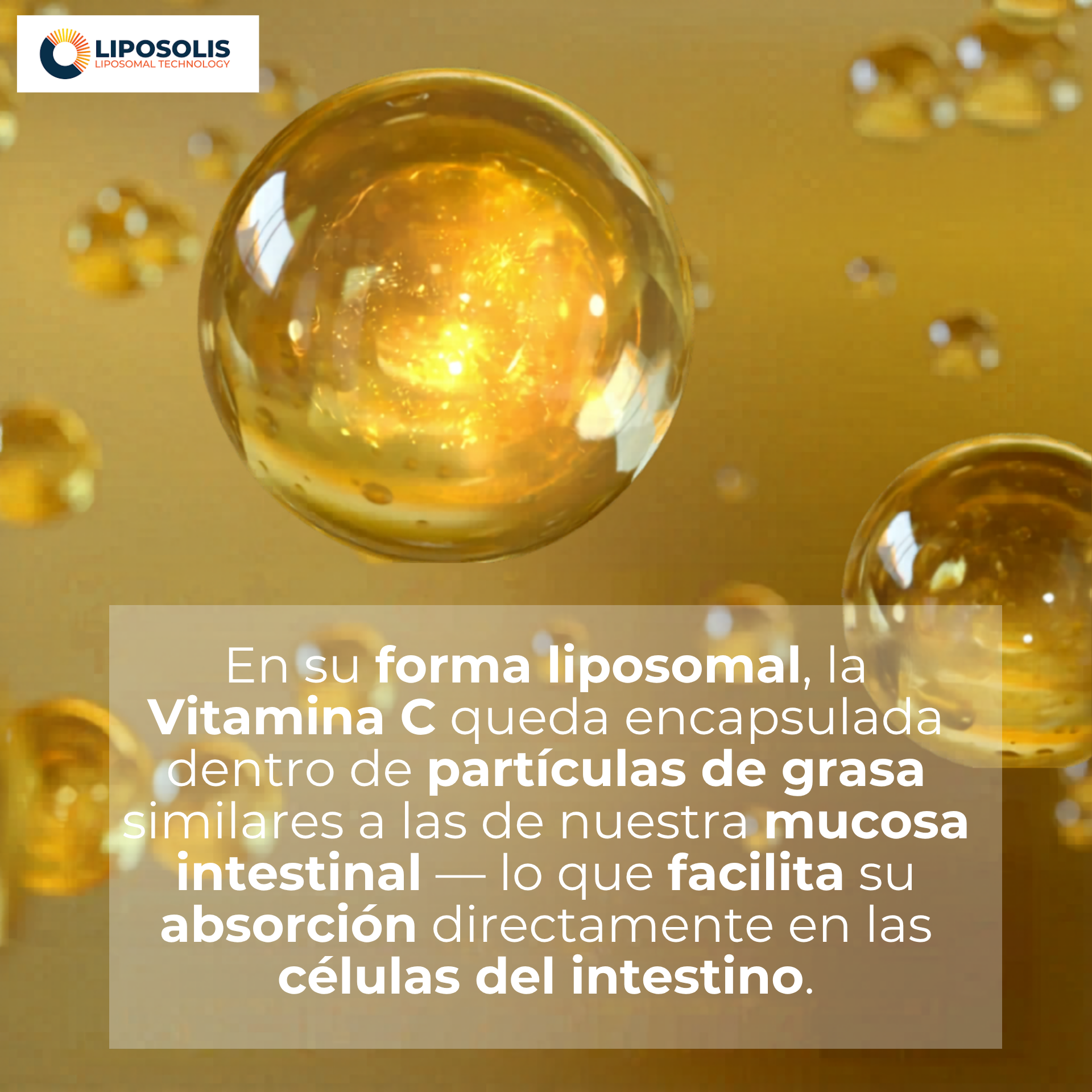 Vitamina C Liposomal 500 mg + Zinc Bisglicinato - Softgel