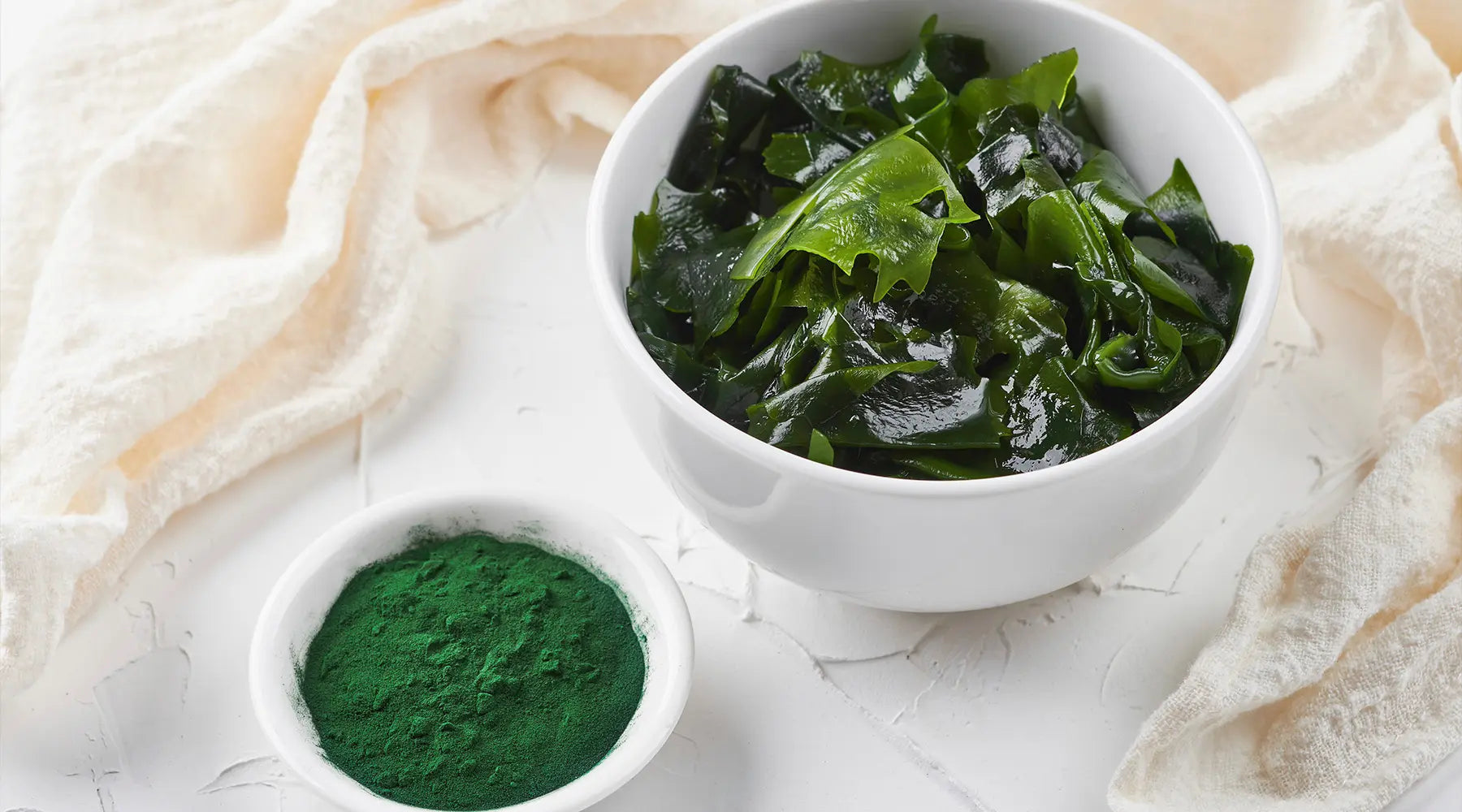 Spirulina – Conocé más sobre esta increíble microalga