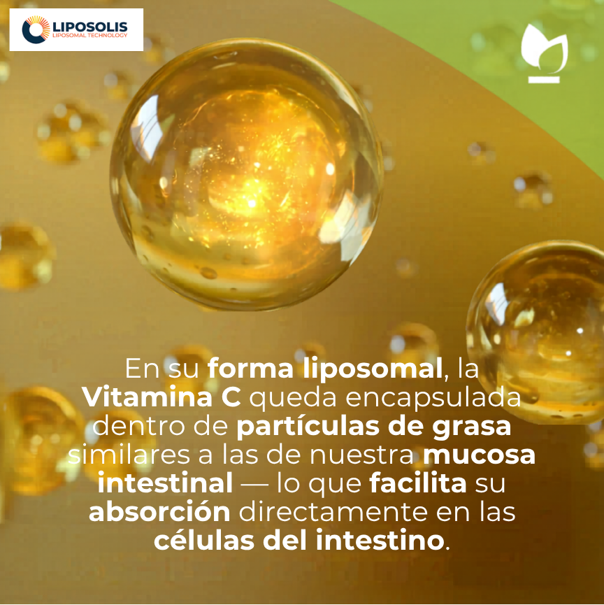 Kit Bienestar Integral — Magnesio Bisglicinato + Omega 3 IFOS + Vitamina C Liposomal